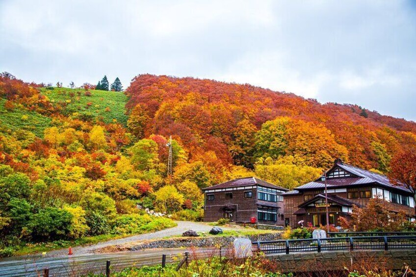 Aomori Custom Half Day Tour