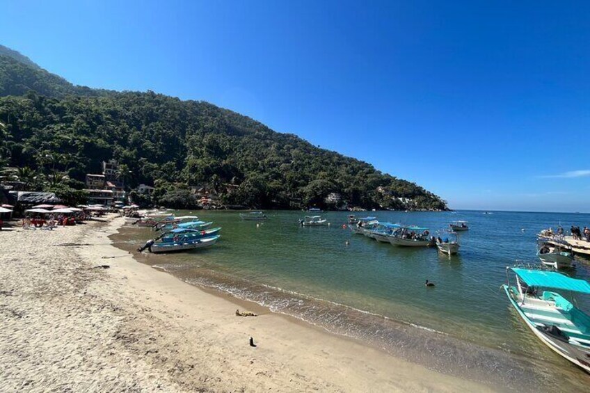 Snorkeling adventure at Majahuitas beach 