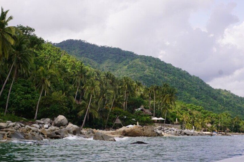 Snorkeling adventure at Majahuitas beach 