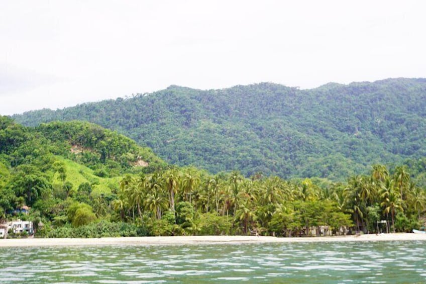  Snorkel Adventure at Majahuitas Beach 