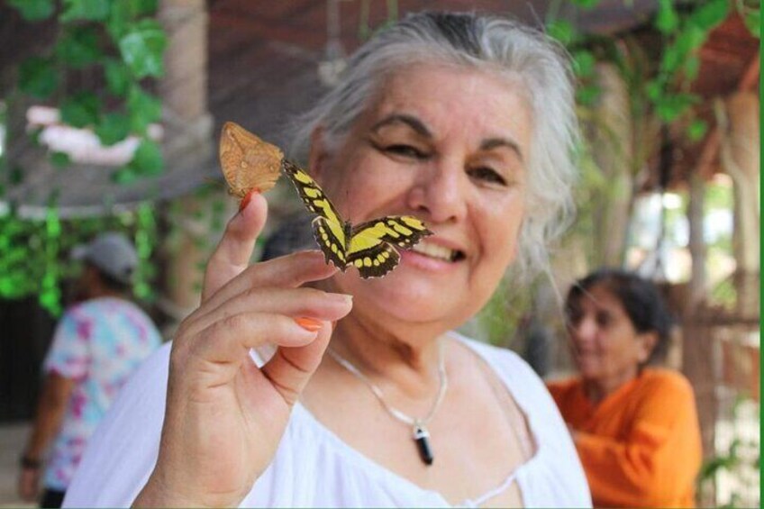 Tour to the Morpho Butterfly Garden in Vallarta and Mismaloya Beach Afternoon