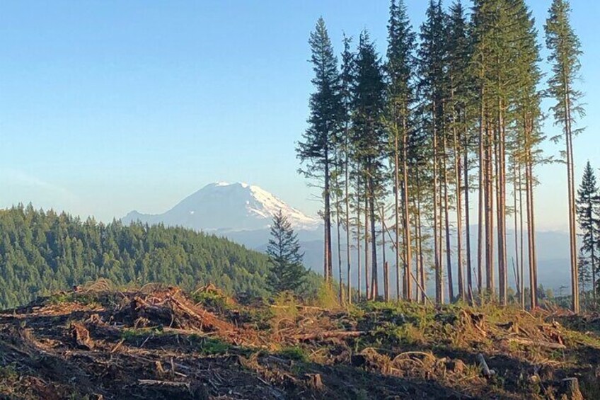 Private Adventure Mountain Biking in Seattle's Eastside