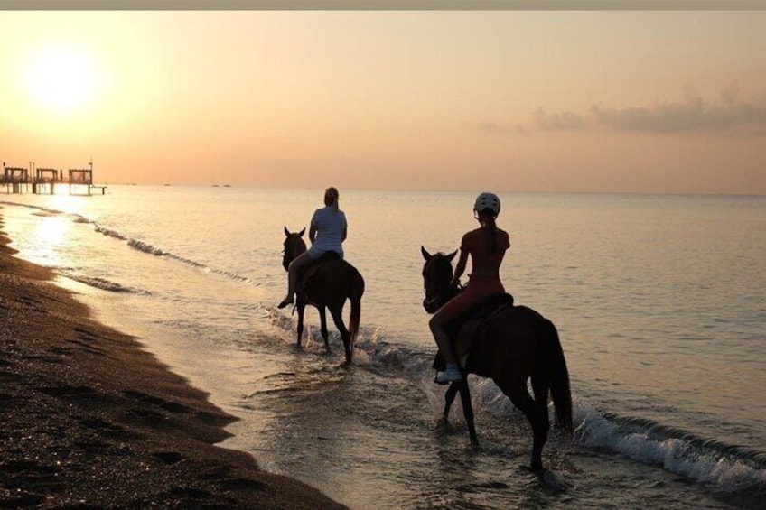 horse ridding sunrise only beach 1 hour