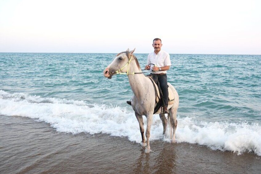 horse ridding 09:30 tour 1 hour in the forest and 20 munite beach