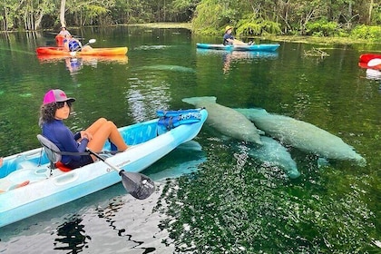 Silver Springs Kayak Rental - The Best Florida Adventure