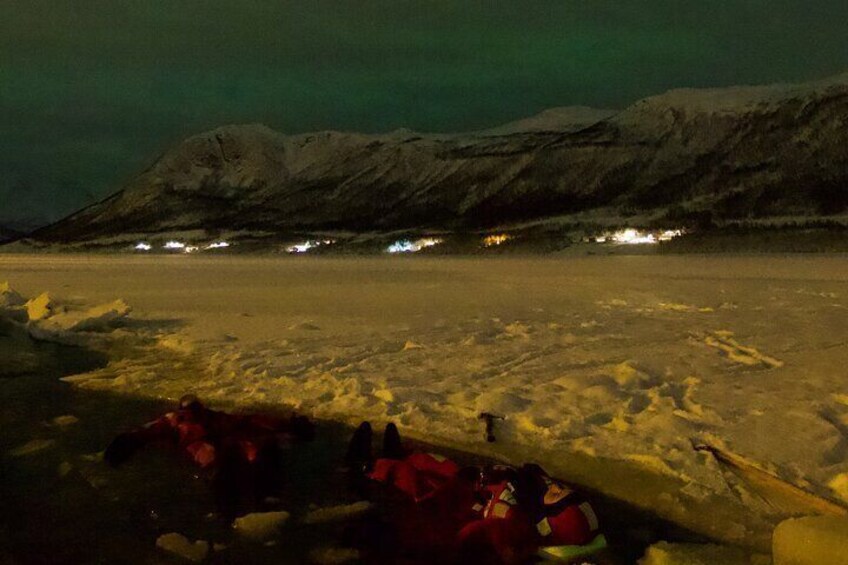 Arctic Floaters in the ice at Ramfjord, Tromsø.