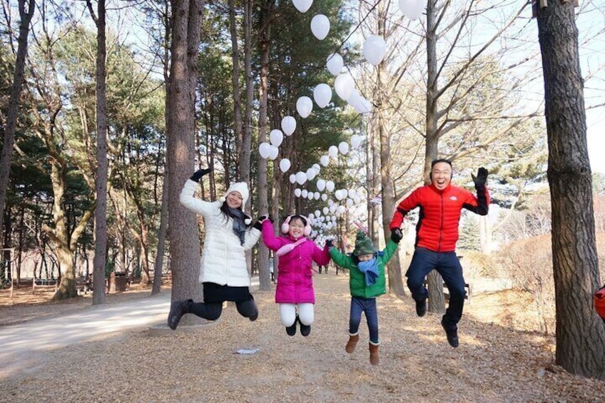 Full Day Private Tour in Nami Island 