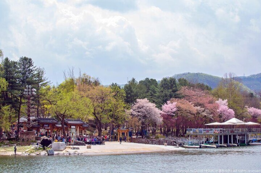Full Day Private Tour in Nami Island 