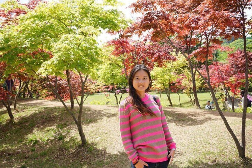 Full Day Private Tour in Nami Island 