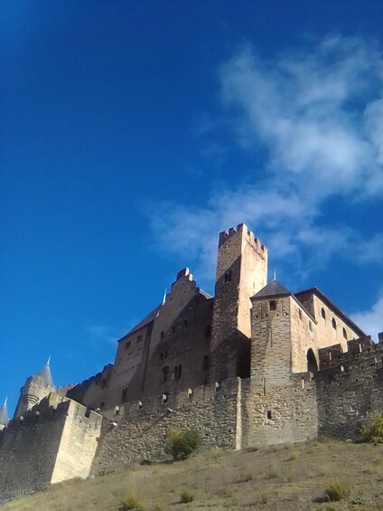 Picture 6 for Activity Cité de Carcassonne: Private Guided Tour