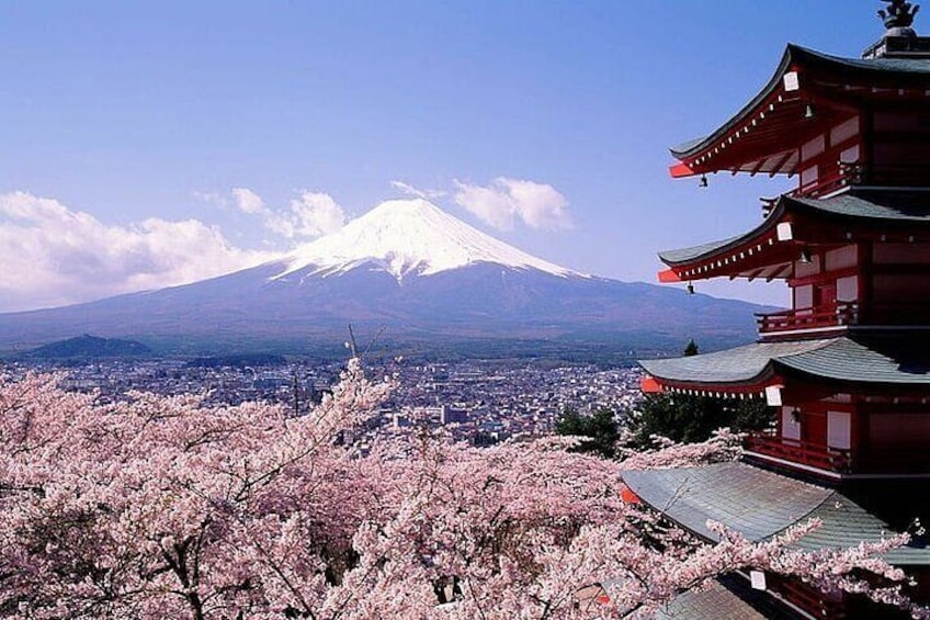 Mount Fuji Private Day Tour With English Speaking Driver