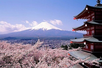 Mount Fuji Private Day Tour With English Speaking Driver