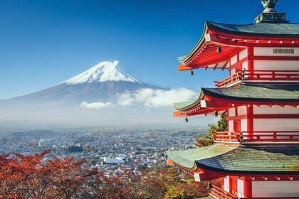 Full Day Private Tour of Mt Fuji and Hakone