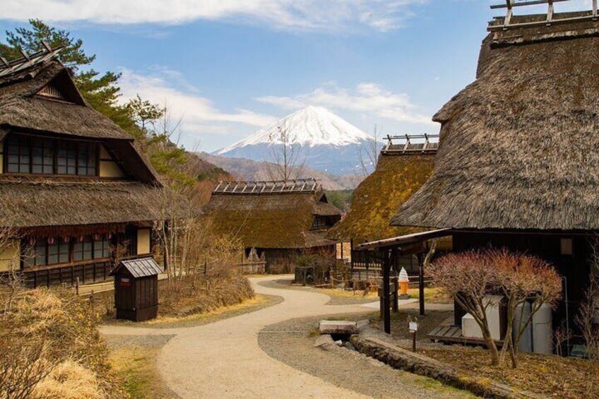 Wander around Saiko Iyashi-no-Sato Nenba, exploring a reconstructed Japanese village with thatched roof houses. Go back in time and relive old traditions with a chance to purchase different handicraft