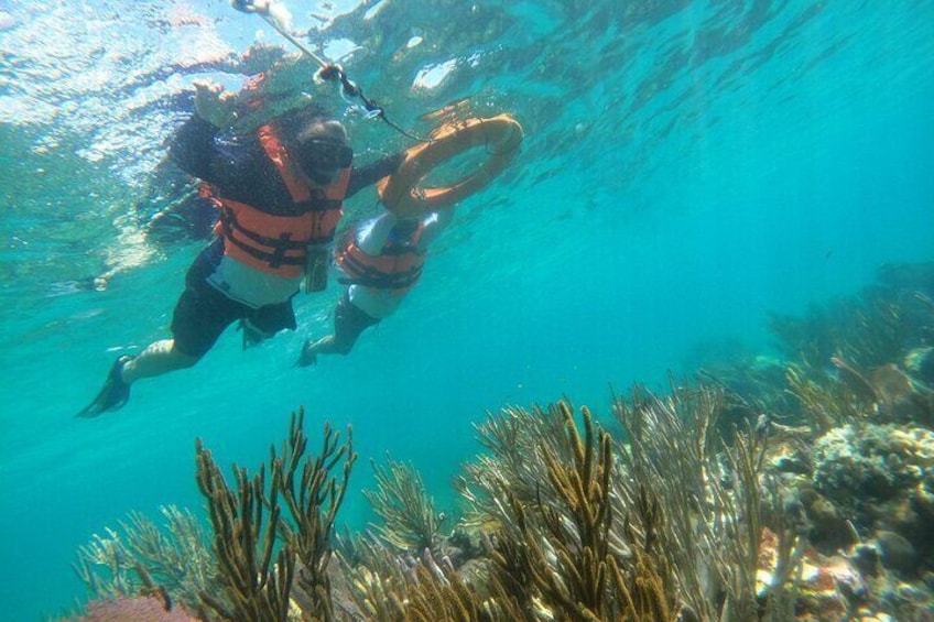 Costa maya ,snorkeling tours with turtles and reef