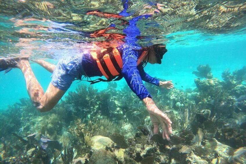 Costa Maya Snorkel Tour in Mahahual