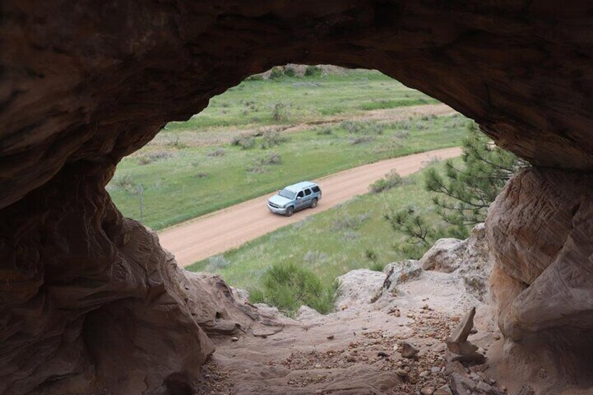 Wildlife and Iconic Roads: The Black Sheep Tour