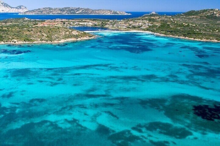 Boat excursion to watch dolphins on the island of Figarolo