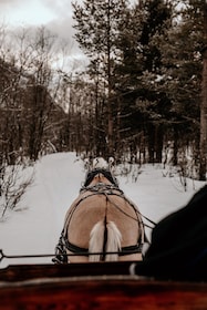 sleigh ride and dining experience