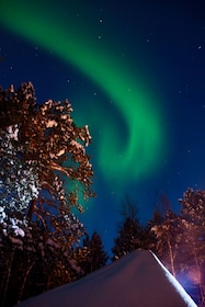 sleigh ride under the northern lights