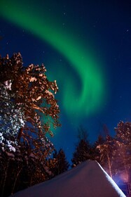 sleigh ride under the northern lights