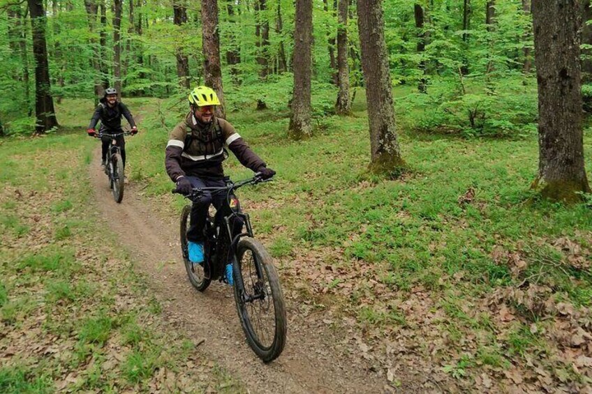 Sibiu: E-Bike Guided Tours