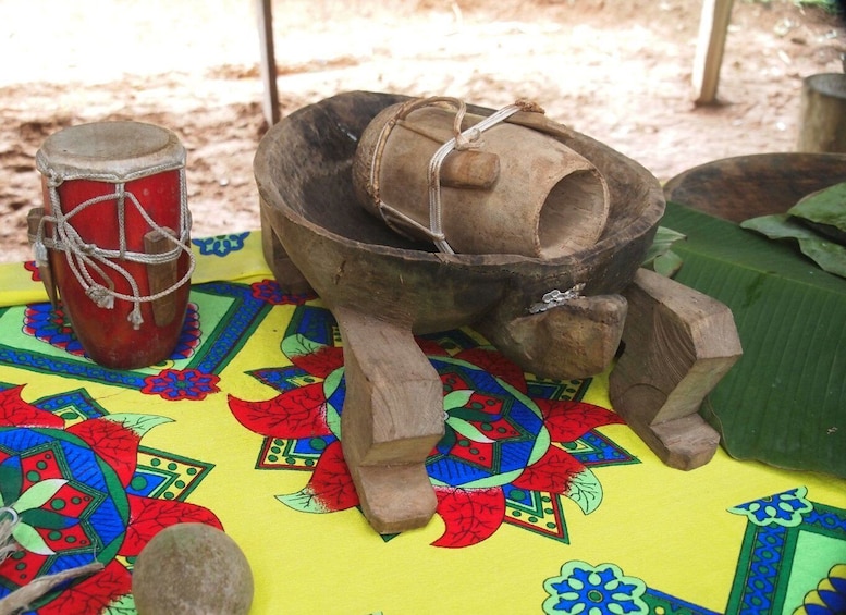 Picture 6 for Activity Embera indigenous Village visit