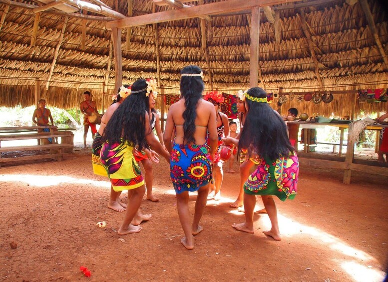 Picture 2 for Activity Embera indigenous Village visit