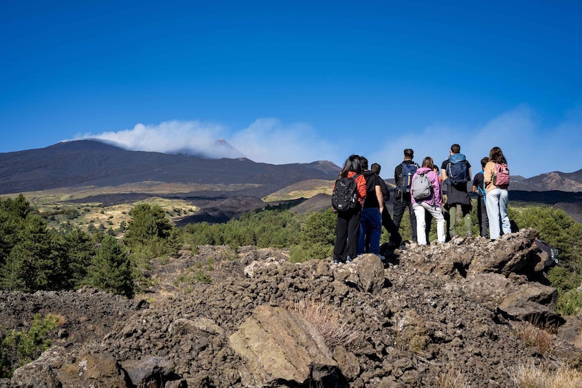 Picture 27 for Activity Catania: Etna Morning Tour with Transfer (Sunset Option)