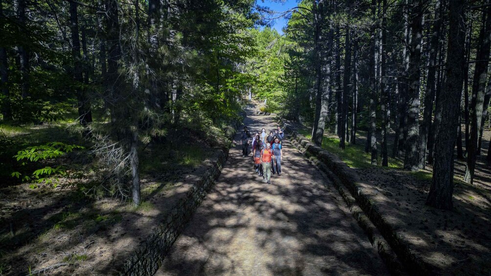 Picture 24 for Activity Catania: Etna Morning Tour with Transfer (Sunset Option)