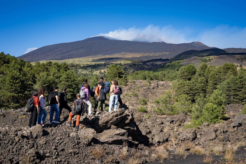 Picture 26 for Activity Catania: Etna Morning Tour with Transfer (Sunset Option)