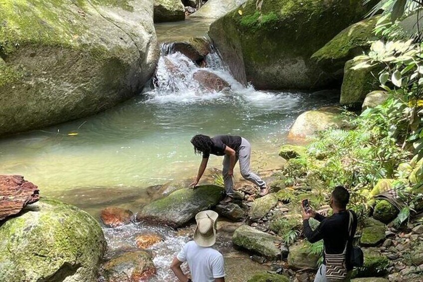 Private Tour Piedras de Donama in Sierra Nevada de Santa Marta