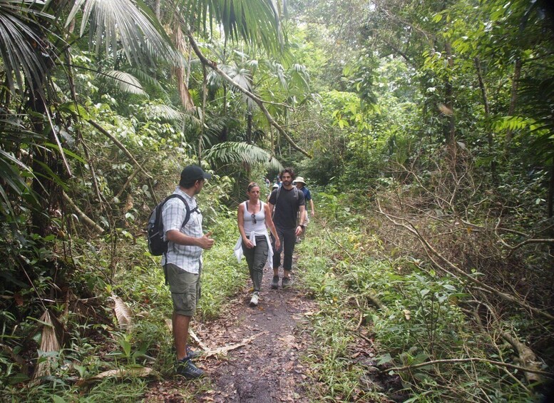 Picture 4 for Activity Soberania National Park Rainforest Hike