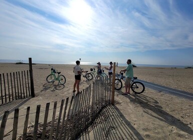 Pulau Tybee Tur Sepeda Bersejarah Selama 2 Jam