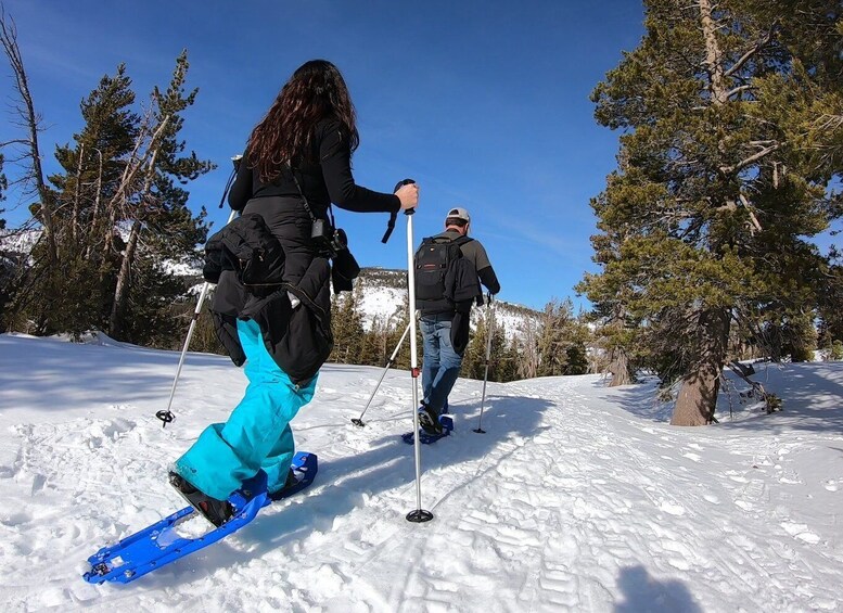 Picture 3 for Activity Lake Tahoe: Sunset Snowshoe Trek with Hot Drinks and Snacks