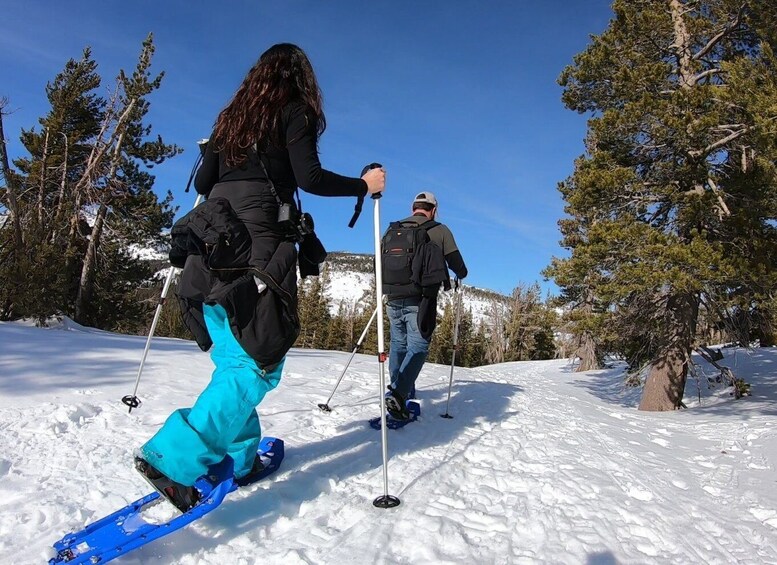 Picture 3 for Activity Lake Tahoe: Sunset Snowshoe Trek with Hot Drinks and Snacks