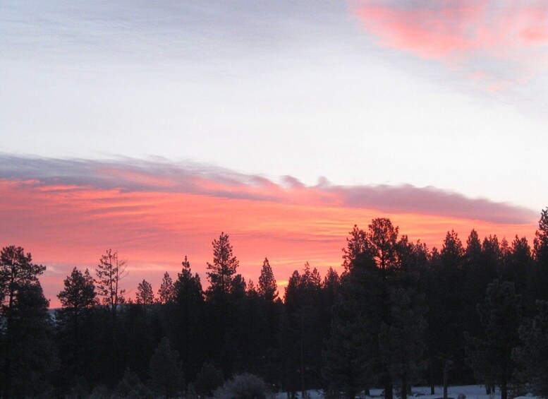 Picture 1 for Activity Lake Tahoe: Sunset Snowshoe Trek with Hot Drinks and Snacks