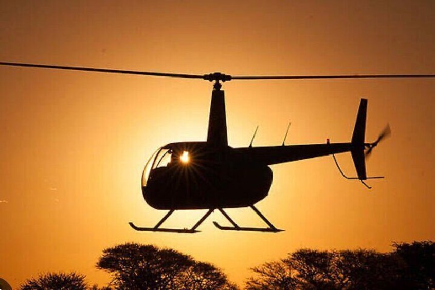 Helicopter Tour over The Wonders of Mendoza