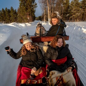 Alta: Sleigh Ride in the Arctic Countryside