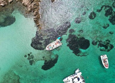Snorkelling & Guided boat tours to La Maddalena Park