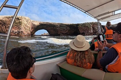 Exploring the Ballestas Islands from Ica in tourist mobility