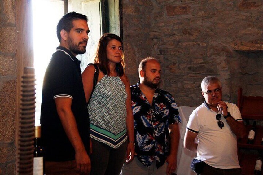 Authentic wine experience: wine and olive oil tasting with lunch