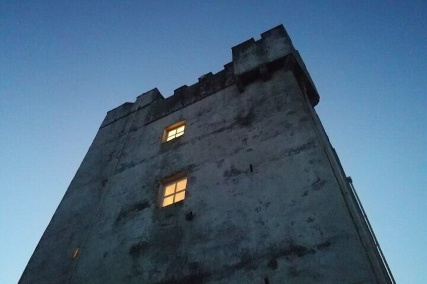 Private visit in an Irish Castle Home