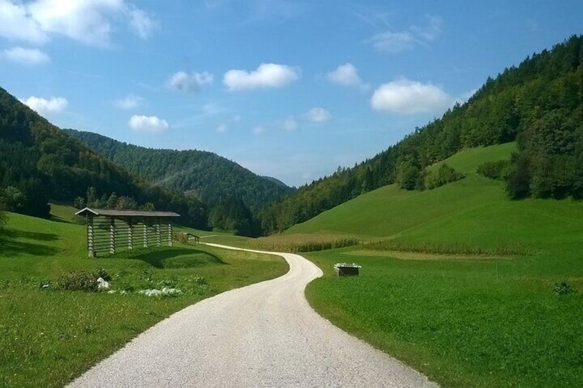 Alpine Slovenia. Private trip. Price per car.