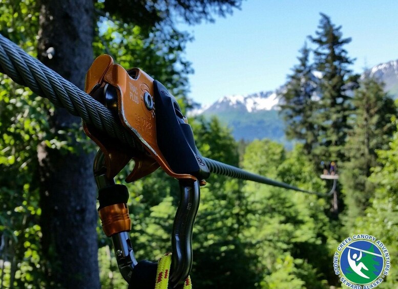 Seward: Stoney Creek Canopy Tour with Zipline