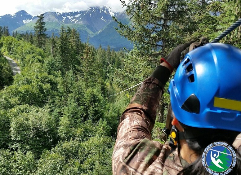 Picture 3 for Activity Seward: Stoney Creek Canopy Tour with Zipline