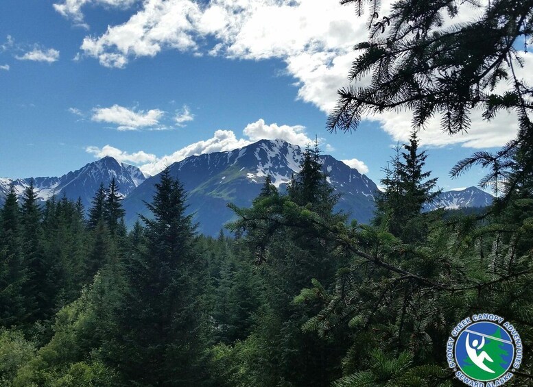 Picture 1 for Activity Seward: Stoney Creek Canopy Tour with Zipline