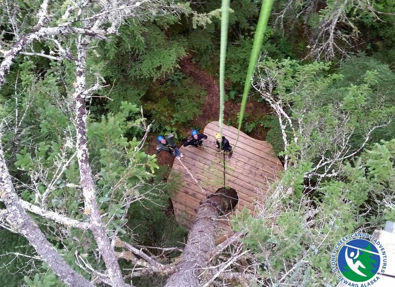 Picture 4 for Activity Seward: Stoney Creek Canopy Tour with Zipline