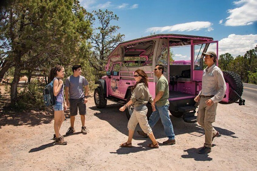 Grand Entrance Grand Canyon Tour - Pink Jeep