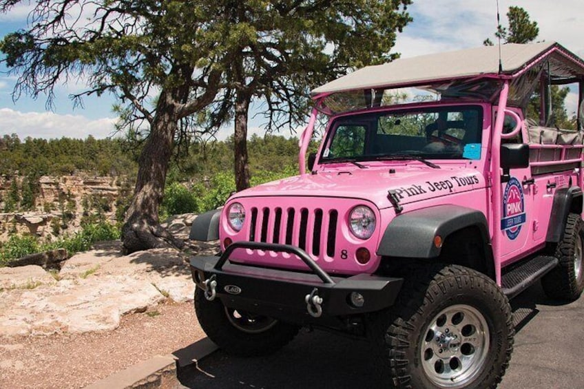 Desert View Grand Canyon Tour - Pink Jeep